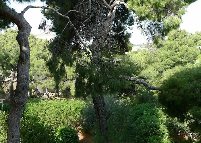Deluxe Apartment In Vouliagmeni
